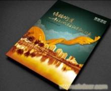 上海廣告公司平面設(shè)計(jì)服務(wù) 創(chuàng)意視覺的專業(yè)呈現(xiàn)